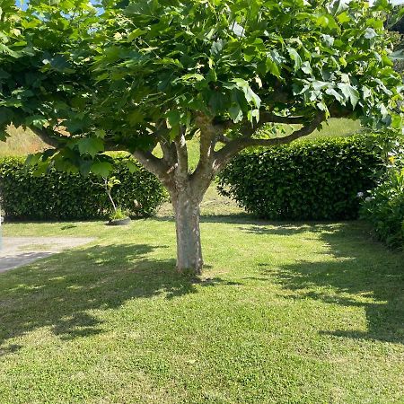 Moradia Rustica Jardim Villa Калоура Екстериор снимка